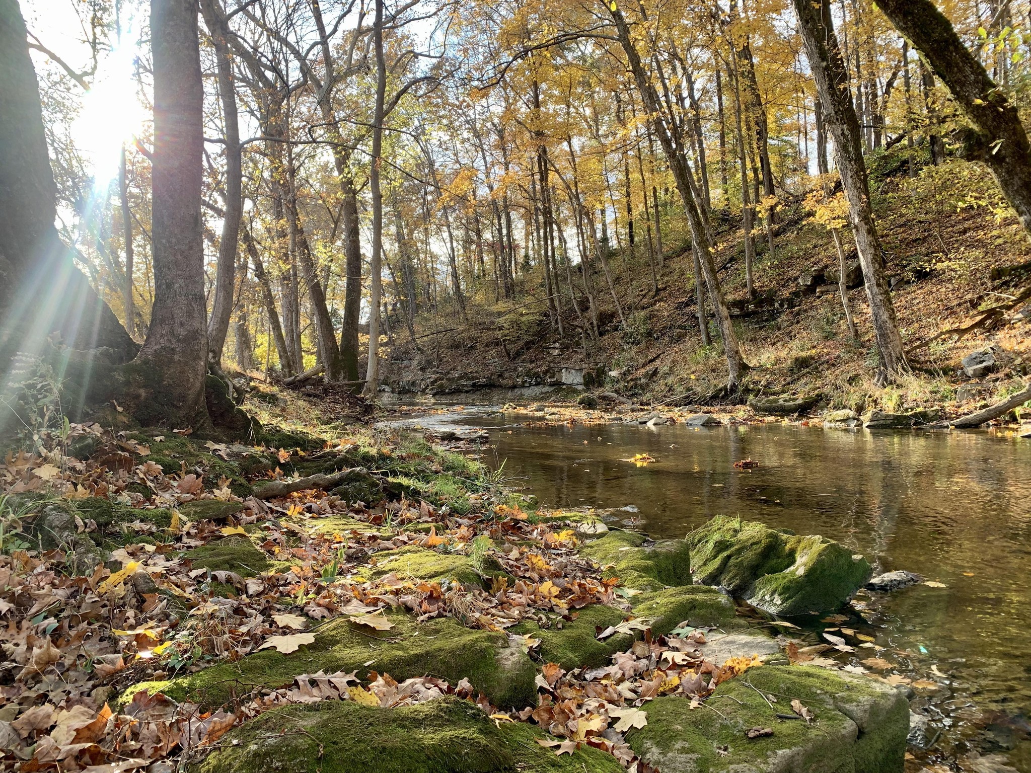 Mahala Springs and Farm