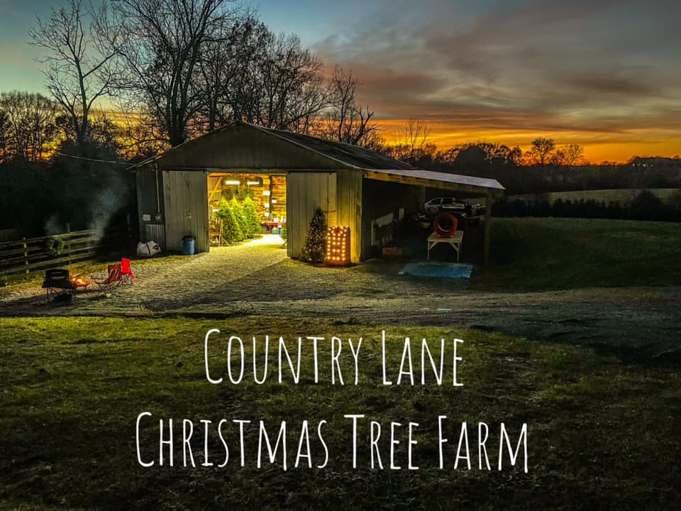 Country Lane Christmas Tree Farm