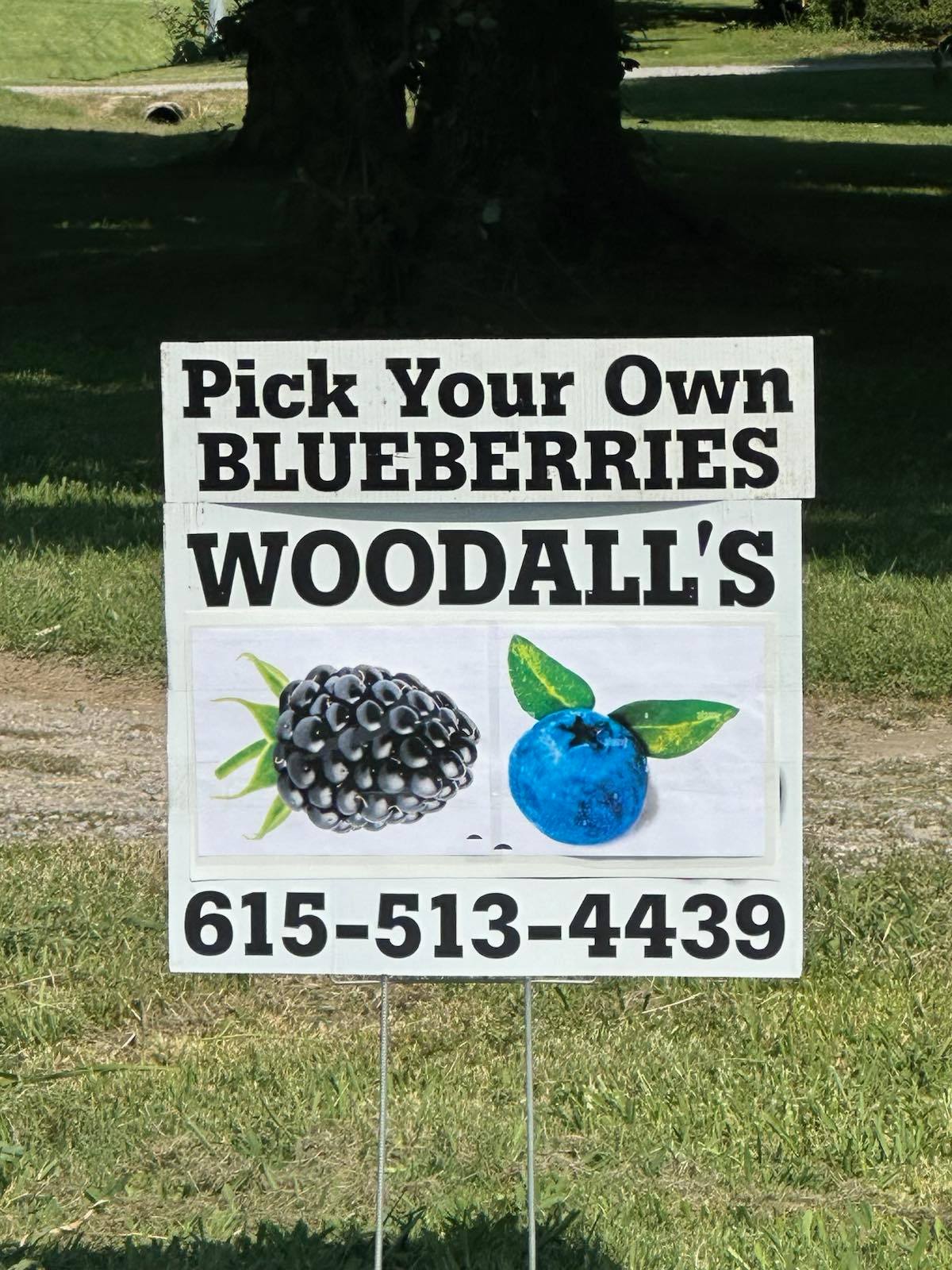 Woodall’s Strawberries