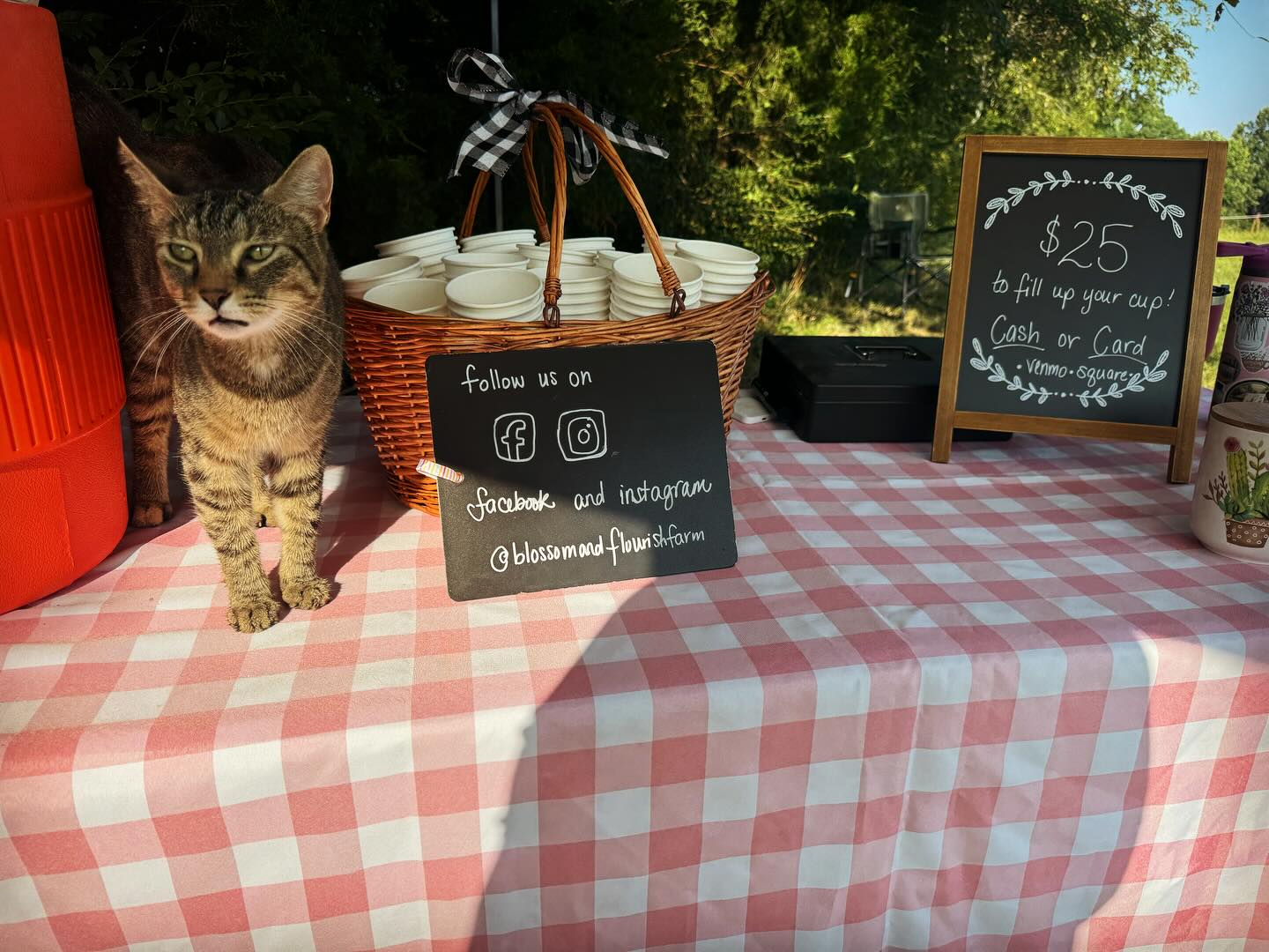 Blossom and Flourish Farm
