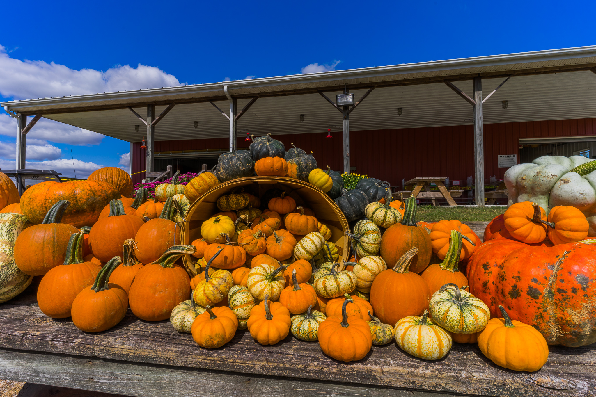 Shade Tree Farm and Orchard