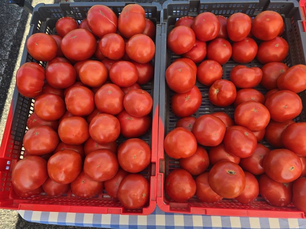 Portland Farmer’s Market