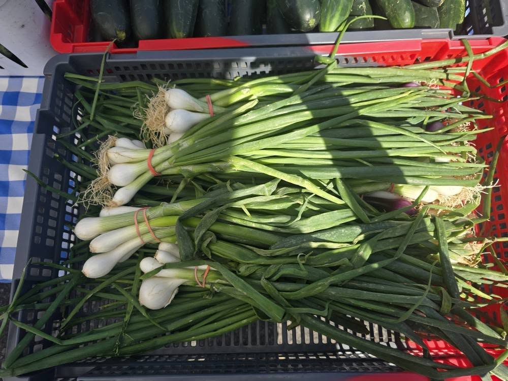 Portland Farmer’s Market