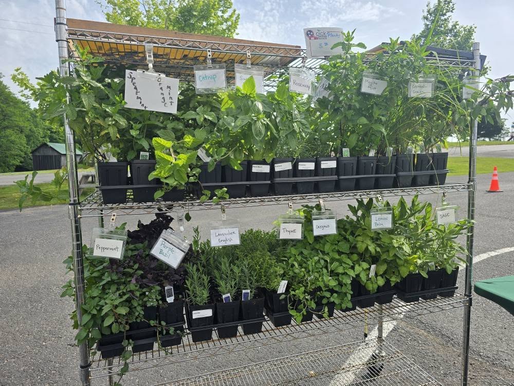 Portland Farmer’s Market