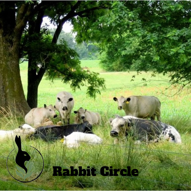 Rabbit Circle